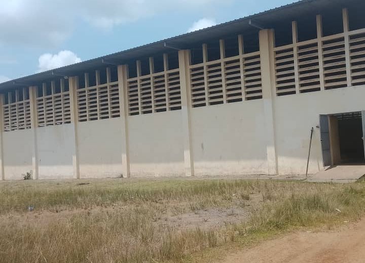 Coupe du Gabon de handball interclubs : Mouila accueille la 35e Edition en mai