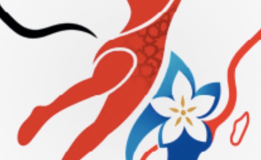 CAN féminine de handball 2026 : le tirage au sort livre quatre groupes relevés