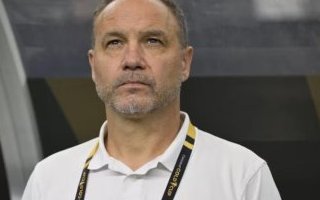 Panthères du Gabon : Migné et son adjoint toucheront 21,75 millions de FCFA par mois