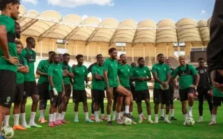 Panthères du Gabon : Pas de match amical en juin, faute de sélectionneur